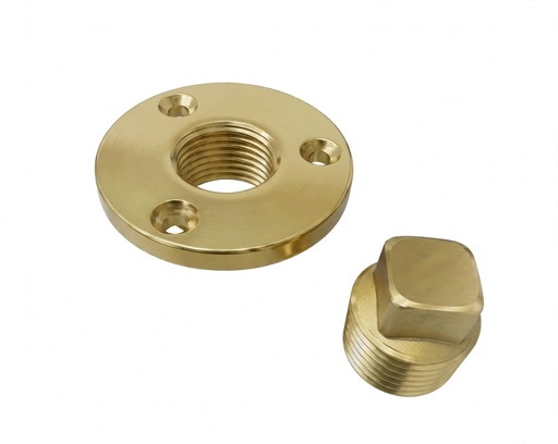 [LD006-33-02] BRASS DRAIN PLUG 50MM